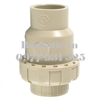 PPR True Union Check Valve D20